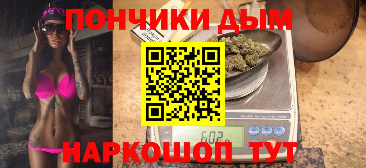 Каннабис план Елизово