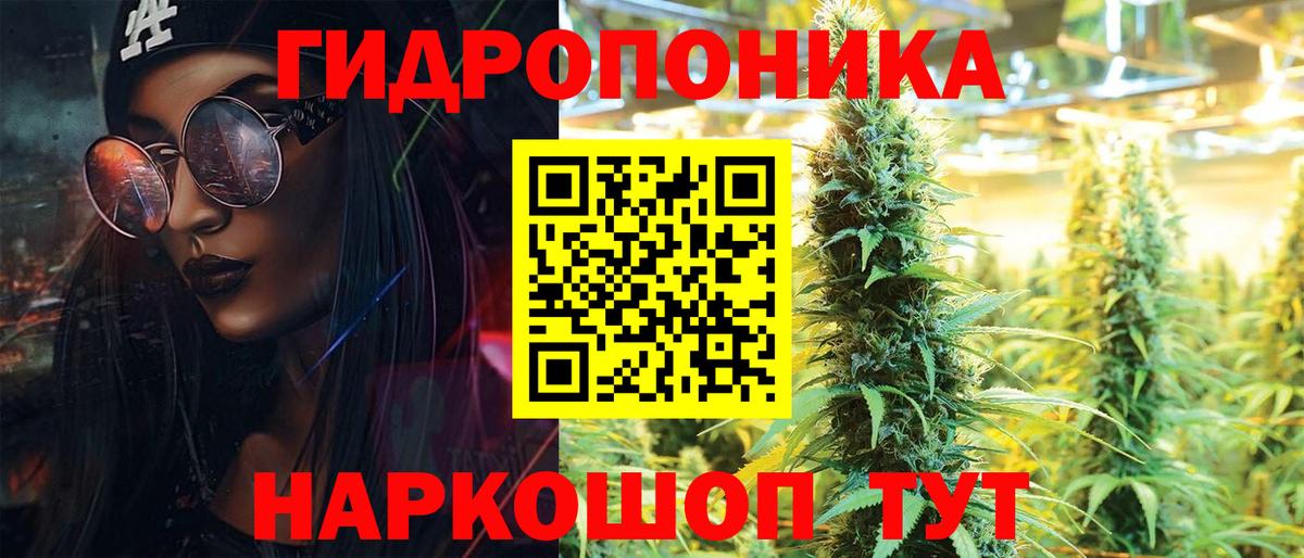 Елизово  Каннабис гибрид  МАРИХУАНА индика  МАРИХУАНА тримм  Вход с VPN  Бошки Шишки White Widow 